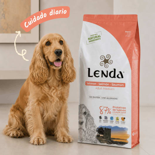Pienso para perro Lenda Adult Salmón