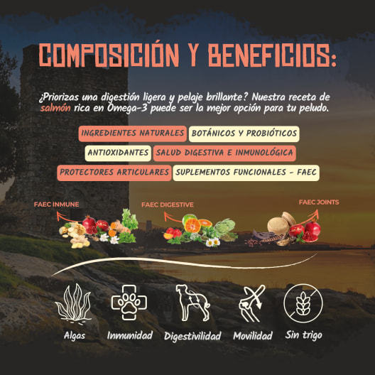 Pienso para perro Lenda Adult Salmón