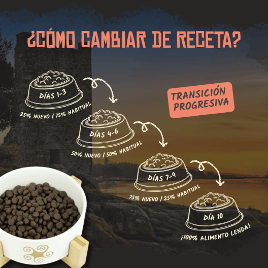 Pienso para perro Lenda Adult Salmón