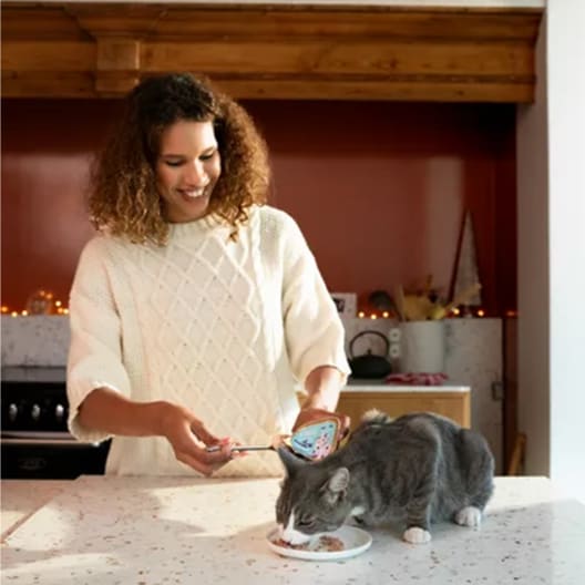 Venado Navideño - Trocitos en Salsa para Gatos
