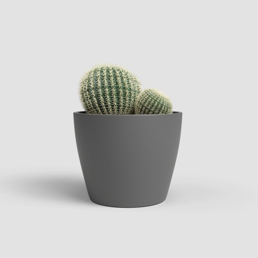Maceta de Interior Nubia Cactus antracita