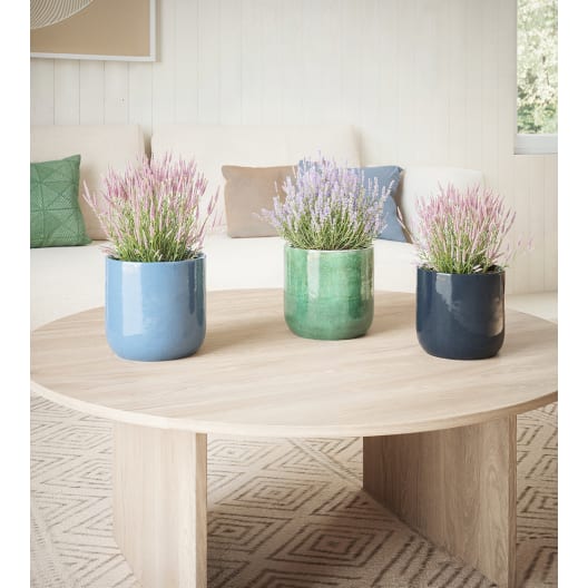 Maceta de Interior Jupiter Verde oxidado