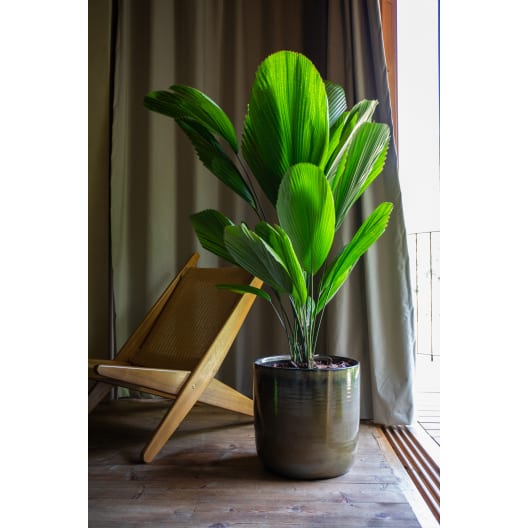 Maceta de Interior Jupiter Verde oxidado