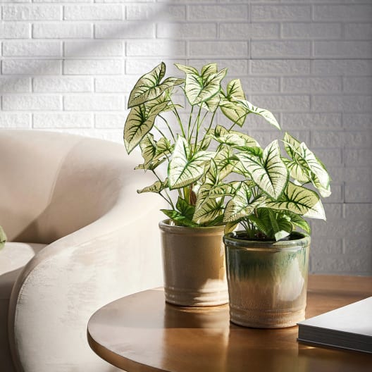 Maceta de Interior EDG Brillo esmaltado verde