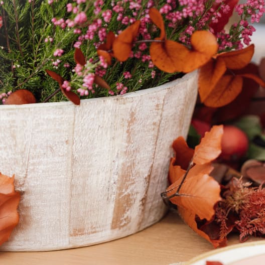 Base de madera para plantas