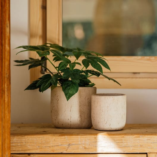 Maceta de Interior Herstera Imperia crema