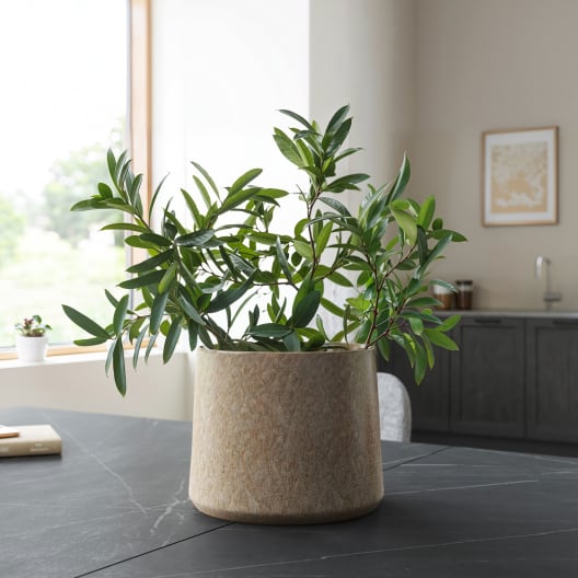 Maceta de Interior Artevasi Saturn beige