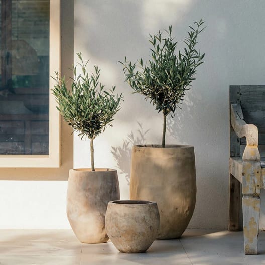 Maceta de Barro Delta Campana Amel Antic - Herstera