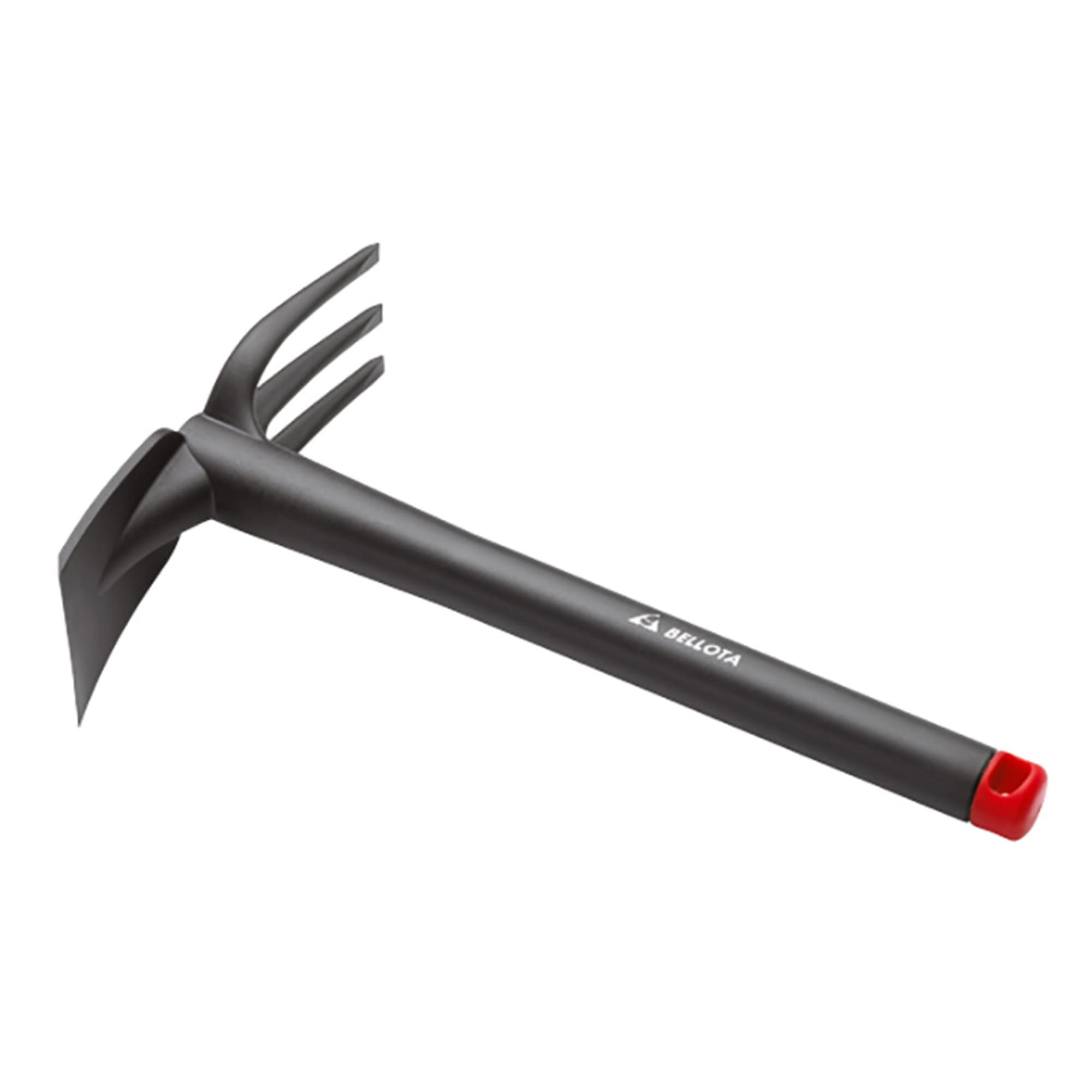 Azuela horquilla Fronda