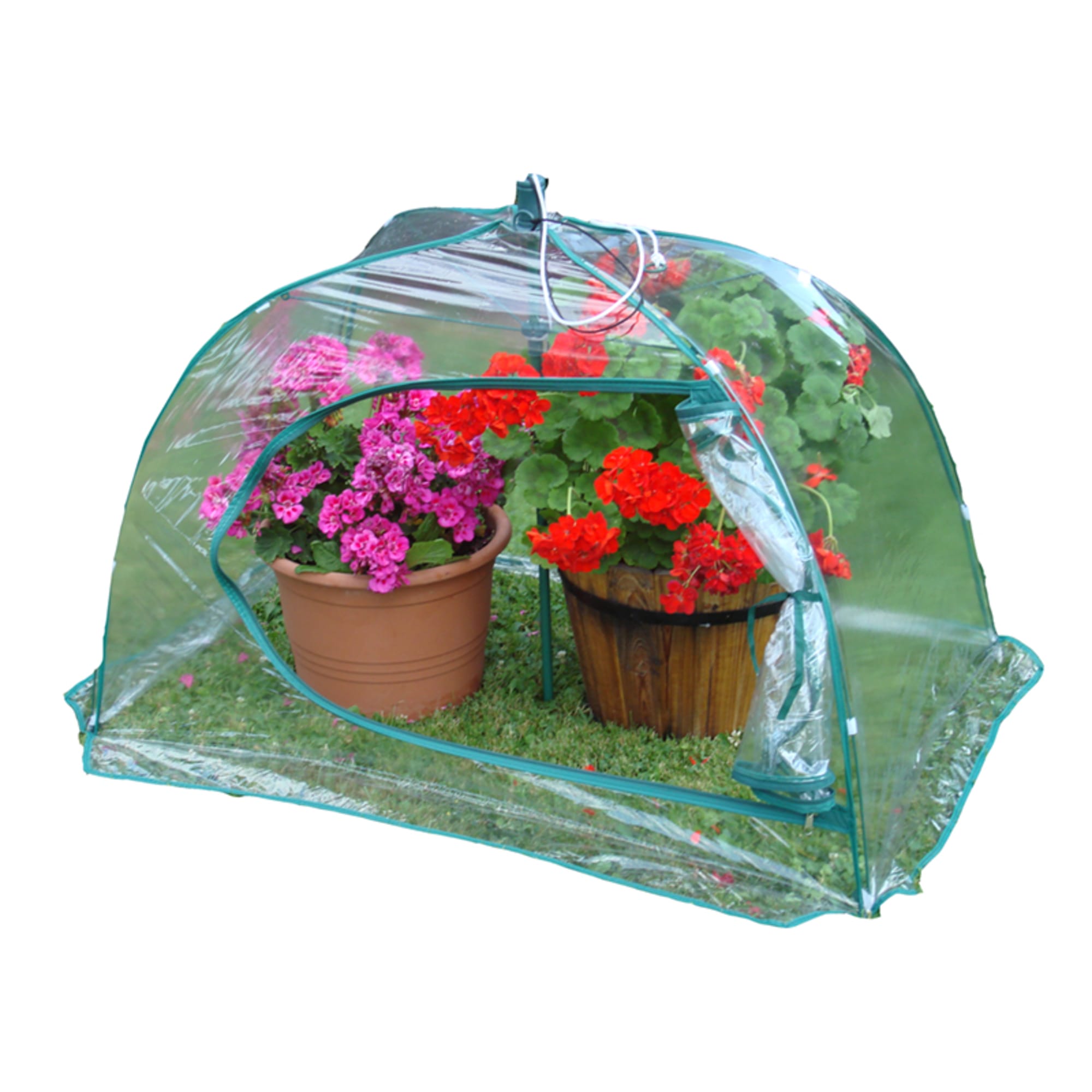 Protector plantas paraguas Fronda