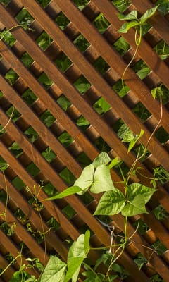 Celosías, cerramientos y mallas ocultación de jardín y terraza | Fronda