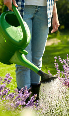 Regadera para jardín a Presión Pulverizador de Agua 1 Litro Platas  Jardinería