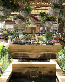 Fronda, tienda de plantas, flores, decoración y centro de jardinería