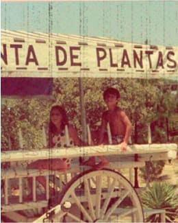 Tienda de plantas