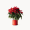 Plantas y Flores de Navidad