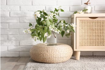 Composición con plantas naturales de interior