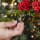 Luces para árbol de Navidad