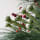Plantas y Flores de Navidad