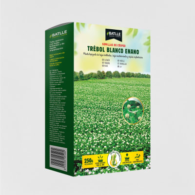 Pantofole Per Ospiti In Feltro - 4 Paia | Taglia 38-45 | Senza Chiusura | Welcome - Foto 4