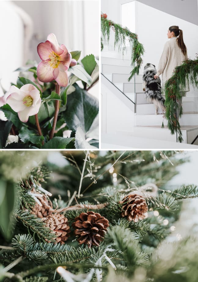 Las 3 tendencias clave de decoración para esta Navidad 2023/2024 - Fronda  Centros de Jardinería