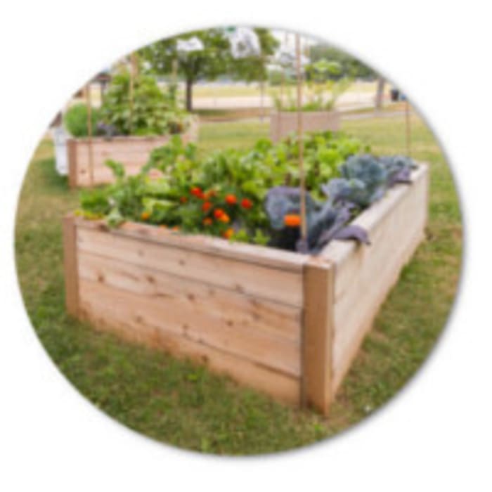 Cajón de cultivo