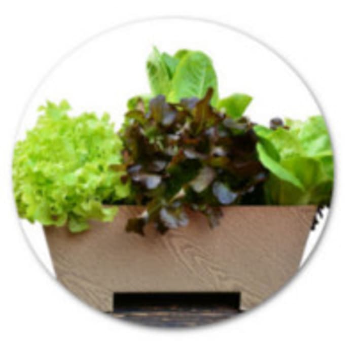 Jardinera de cultivo