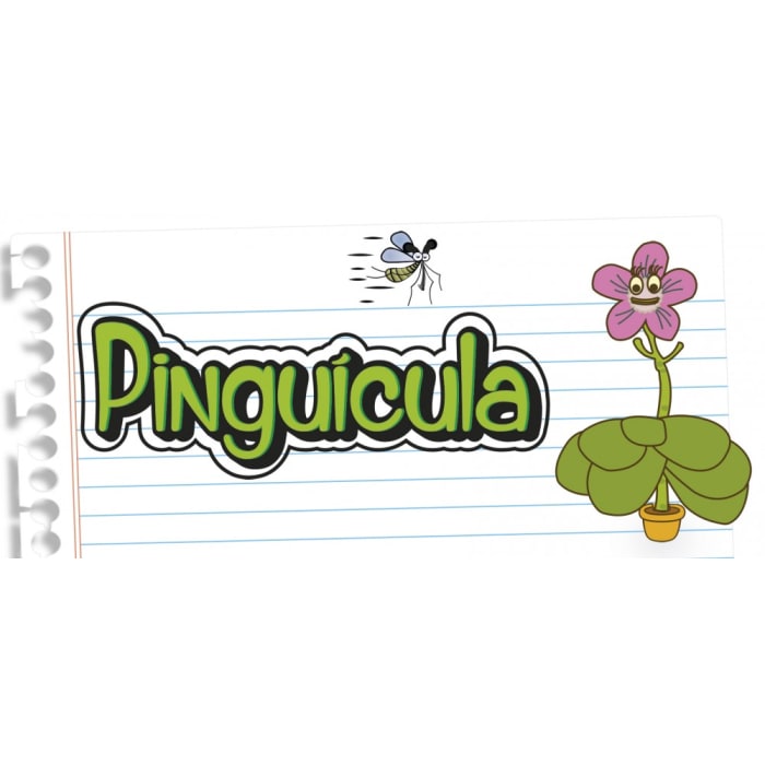 Pinguicula