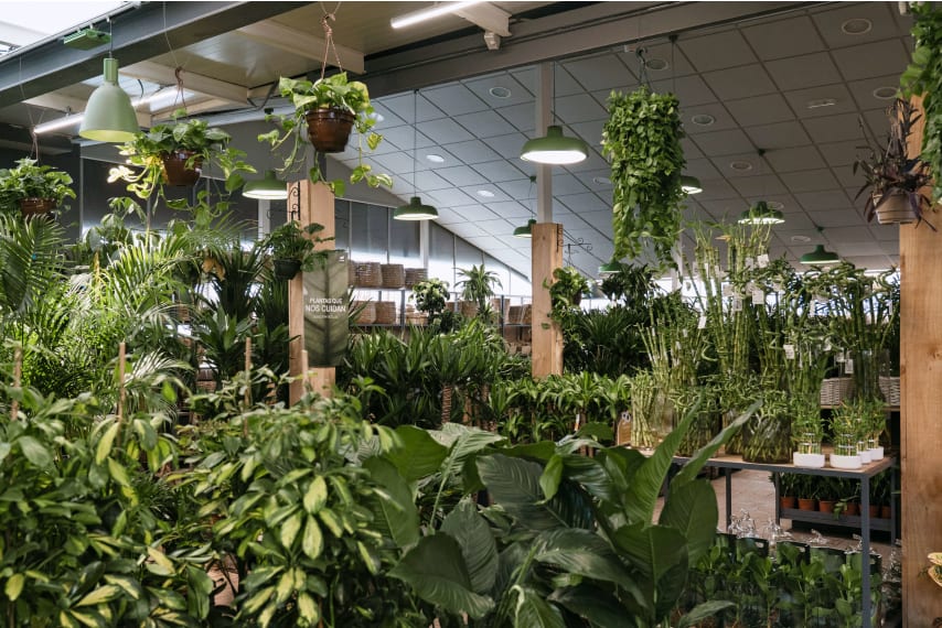 Tienda de Cabrera de Mar - Barcelona