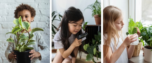 Niños con plantas