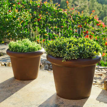 Maceta de Resina rústica "Rosa" Bronce - New Garden