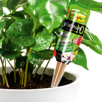 Fertilizante universal de gotero