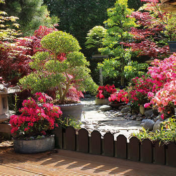 Bordura de polietileno Sierra Border Blanco Catral