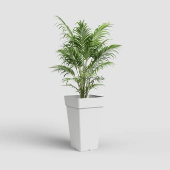 Maceta de plástico Artevasi blanca Capri cuadrada alta