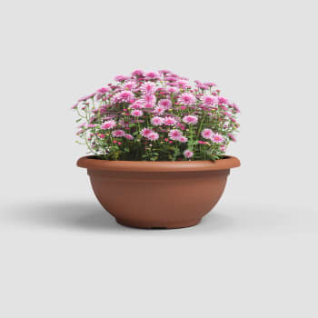 Maceta de plástico Artevasi terracota Venezia bol