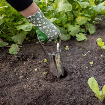 Plantador de bulbos de acero inoxidable Esschert