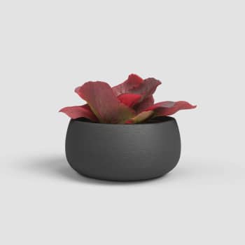 Cuenco hemera antracita