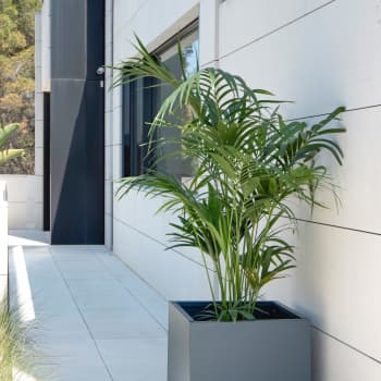 Herstera Metal Planter - Jardinera CUBE antracita