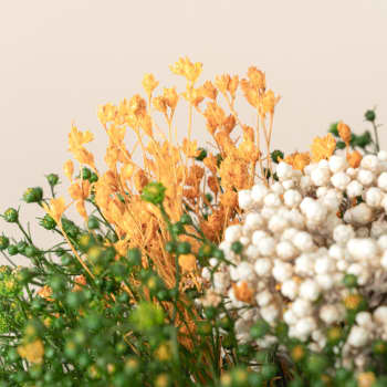 Ramillete de Genista y Flor de arroz Preservado