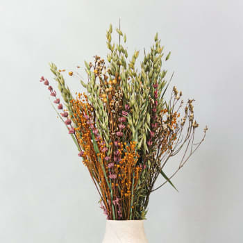 Ramillete de Avena, Brooms, Limonium, Trigo y Lino Preservado