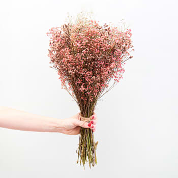 Ramillete de Paniculata blanca y rosa y Limonium Preservado