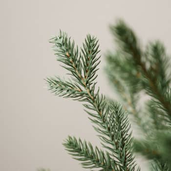 Mini Árbol de Navidad Artificial Norway 75cm