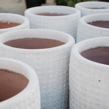 Maceta Fronda Angkor blanco (Jarrón Anong)