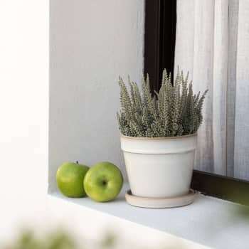 Maceta de Interior Mica Clint blanco roto