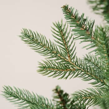 Mini Árbol de Navidad Artificial Allison 60cm