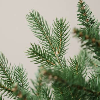 Mini Árbol de Navidad Artificial Allison 75cm