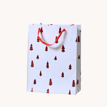 Bolsa Regalo Roja con Motivos Surtidos (18x8x24 cm)