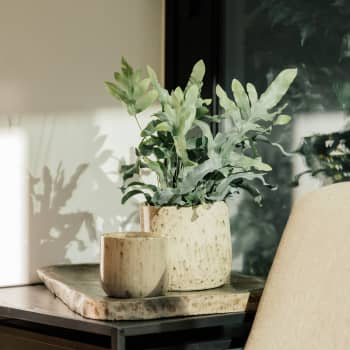 Maceta de Interior Herstera Halle crema