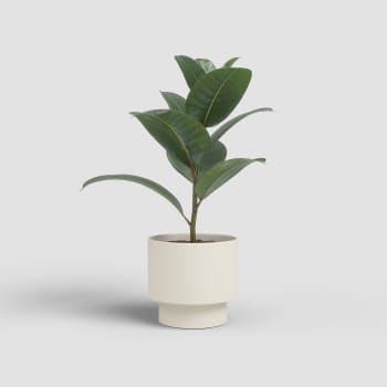 Maceta de Interior Artevasi Nysa crema mate