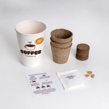 Kit de cultivo 'Café arábica'