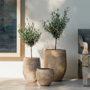 Maceta de Barro Delta Campana Amel Antic - Herstera